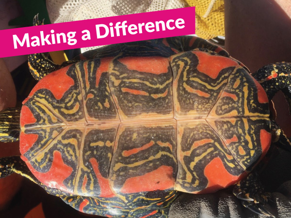 bg-making-a-difference-peter-ballin