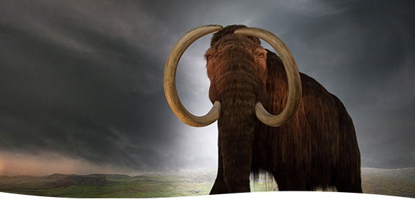 bg-newsletter-ancient-dna-scat
